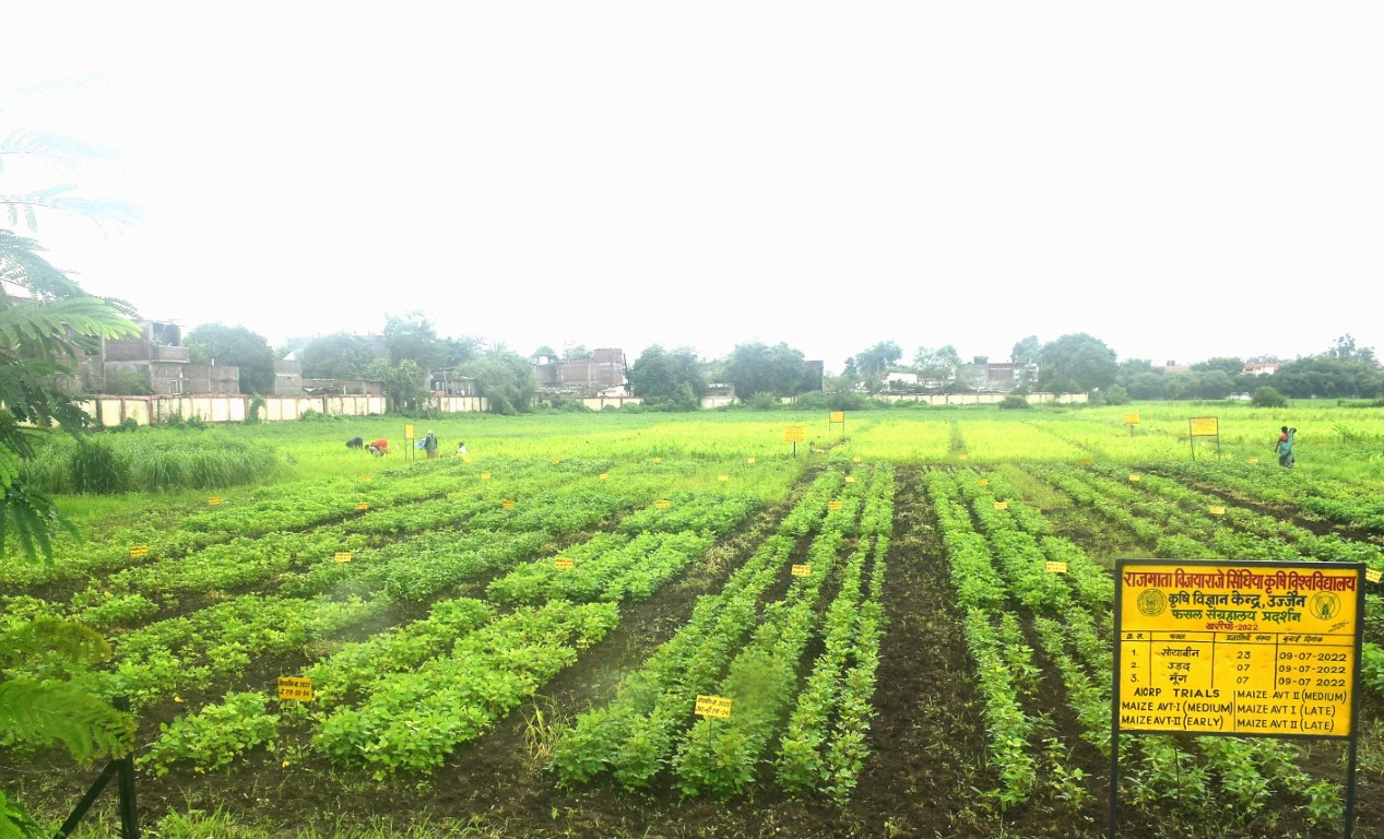 Crop Museum